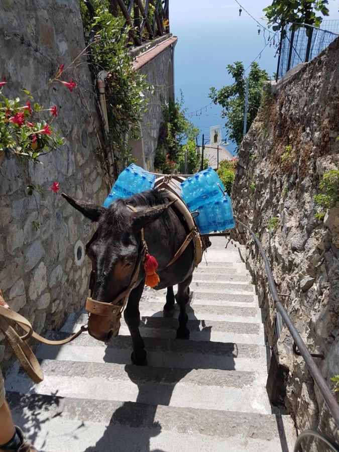 Estate4Home - Goat Path Positano Zewnętrze zdjęcie
